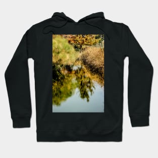 112014 reflections Hoodie